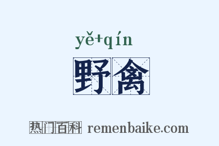 野禽是什么意思的图片